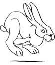 lapin coloriage pour impression et coloriage