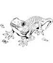 image lezard pour coloriage