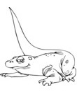 lezard coloriage pour impression et coloriage