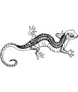 a colorier :clip art lezard