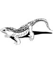 crocquis lezard noir et blanc a colorier