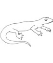 coloriage lezard a imprimer