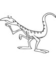 coloriage lezard imprimer et colorier