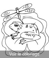 coloriage libellule et grenouille dans la mare