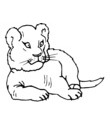 image lion pour coloriage