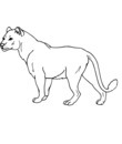  image lion a colorier