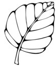 autome feuille morte