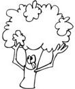nature arbre foret