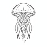 Coloriage méduse semi réaliste simple de face, cloche suggérée par contours doubles et tentacules fins