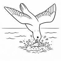 Coloriage mouette réaliste simplifiée en plongeon vers l’eau pour attraper un poisson