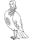 coloriage sirène aux traits humains et à plumes d'oiseau