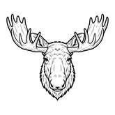 Coloriage orignal réaliste : orignal de face avec grands bois, lignes nettes, facile à colorier (Toupty.com)