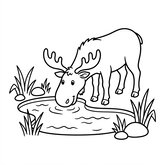 Coloriage orignal enfant : orignal qui boit près d’un lac, décor très simple, facile à colorier (Toupty.com)