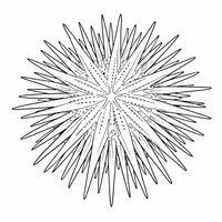Coloriage oursin réaliste épuré vue de dessus, motif étoilé central marqué et piquants fins modérés