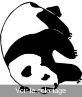 coloriage Panda noir et blanc