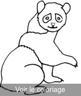 coloriage Panda qui lève la patte