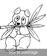 coloriage Panda mange feuilles de bambou