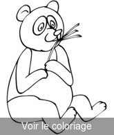 coloriage Panda se nourrit de banbou