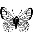 coloriage papillon a imprimer