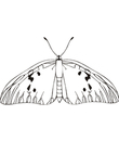 coloriage papillon a imprimer