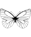 coloriage papillon a imprimer