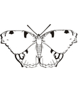 coloriage papillon a imprimer