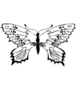 coloriage papillon a imprimer