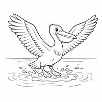 Coloriage pélican réaliste simplifié qui atterrit sur l’eau, ailes ouvertes, éclaboussures en contours, dessin enfant