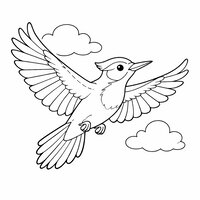 Coloriage pivert réaliste en vol, ailes déployées, deux nuages simples, dessin facile pour enfant