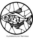 imprimer dessin poisson