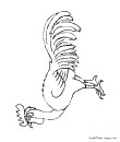 coq ou dindon?
