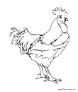 une poule a imprimer et a colorier