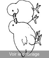 Coloriage Couple de Poussins| Toupty.com