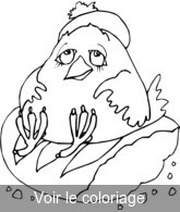 Coloriage Gros Poussin | Toupty.com