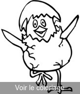 Coloriage Poussin sortant de sa coquille| Toupty.com