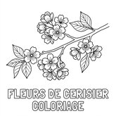 Coloriage printemps plus réaliste : branche de fleurs de cerisier, lignes propres, enfant (Toupty.com)