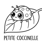 Coloriage printemps kawaii : coccinelle mignonne sur feuille, points simples, facile (Toupty.com)