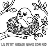 Coloriage printemps : oiseau cartoon dans un nid avec œufs, dessin facile enfant (Toupty.com)