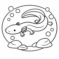 Coloriage protée (olm) cartoon nage en S dans une bulle d’eau, branchies fines, bulles et rochers simples