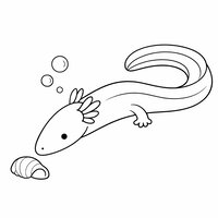 Coloriage protée (olm) kawaii curieux, tête allongée penchée vers une coquille, branchies fines et bulles