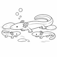 Coloriage famille de protées (olms) semi réaliste simple, adulte long au centre et deux jeunes, galets au fond