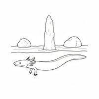 Coloriage protée (olm) réaliste simplifié en eau de grotte, stalagmite simple, rochers, corps très long et fin