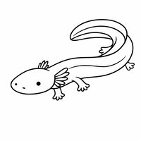 Coloriage protée (olm) kawaii au corps très long et fin, tête allongée, yeux minuscules, branchies fines