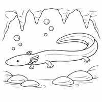 Coloriage protée (olm) réaliste simplifié en grotte sous-marine, stalactites simples, galets et bulles