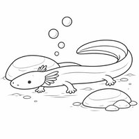 Coloriage protée (olm) réaliste simplifié posé au fond, pattes écartées, roches en grandes formes et bulles