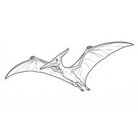 Coloriage ptérodactyle réaliste épuré en vol plané - Toupty.com