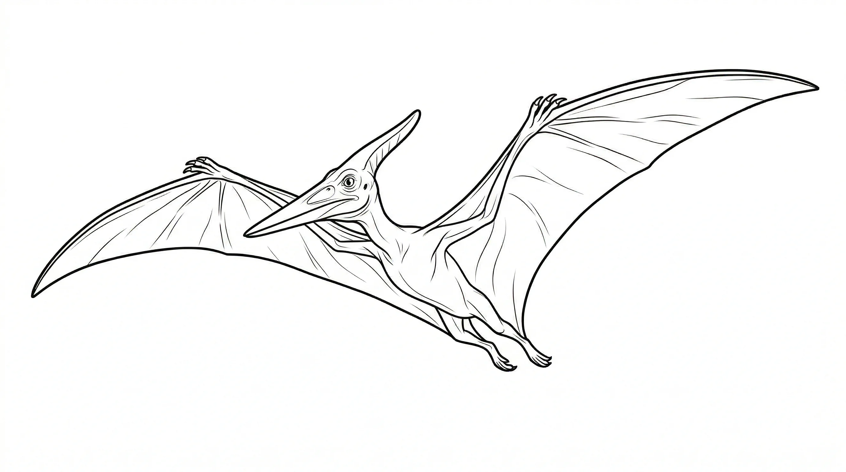 coloriage-pterodactyle Page 4