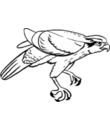 dessin  oiseau de proie gartuit