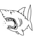 Coloriage Requin montre toutes ses dents
