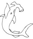 Coloriage Requin marteau